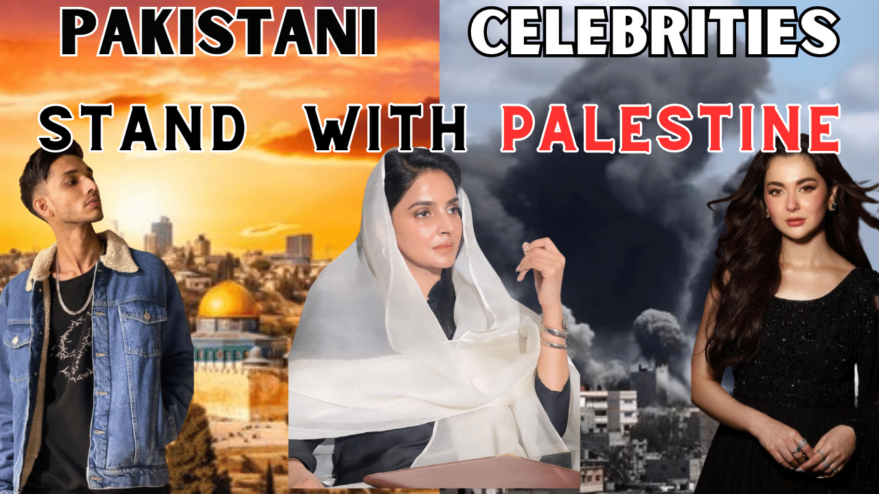 pakistani celebrities